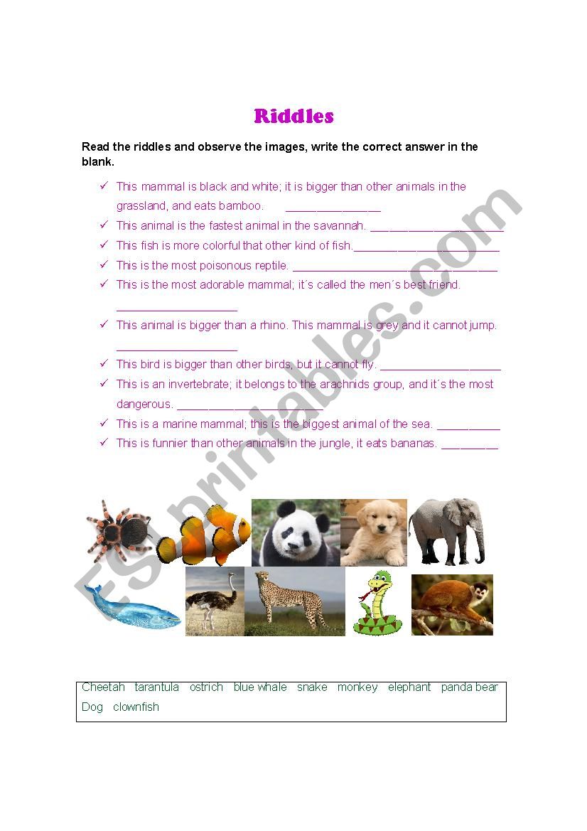 Riddles about animals worksheet