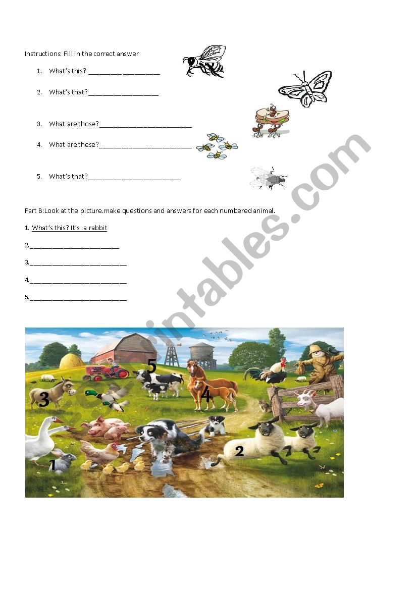 demonstrative question animals and insects