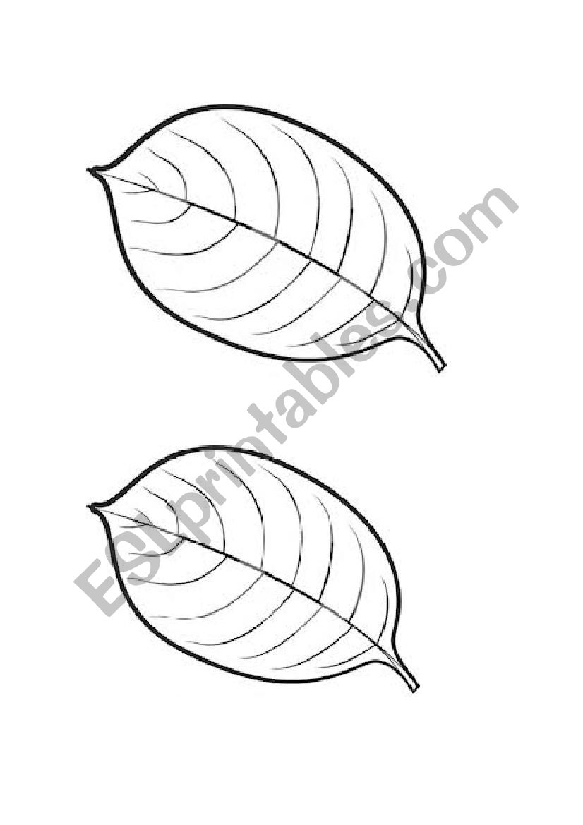 La Mariposa Cloze Activity and Connection Questions
