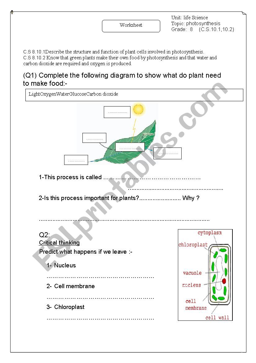 Scientific English worksheet worksheet