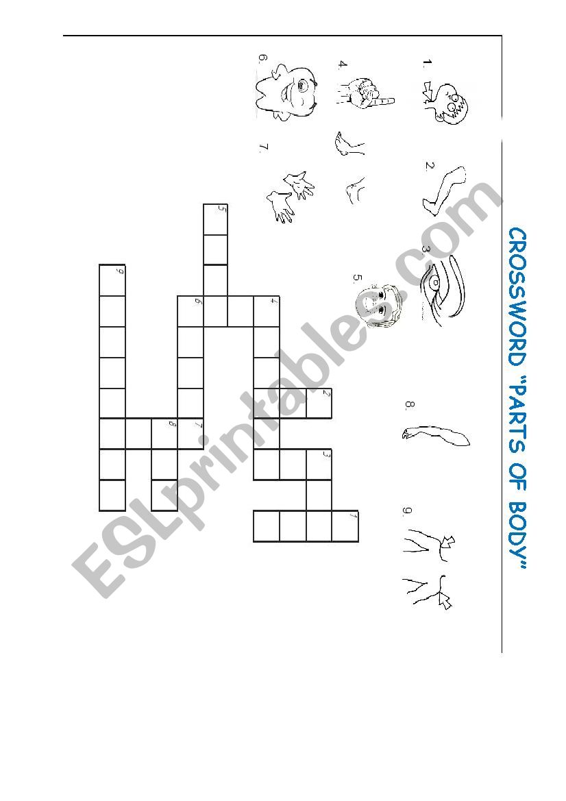 Parts of body worksheet