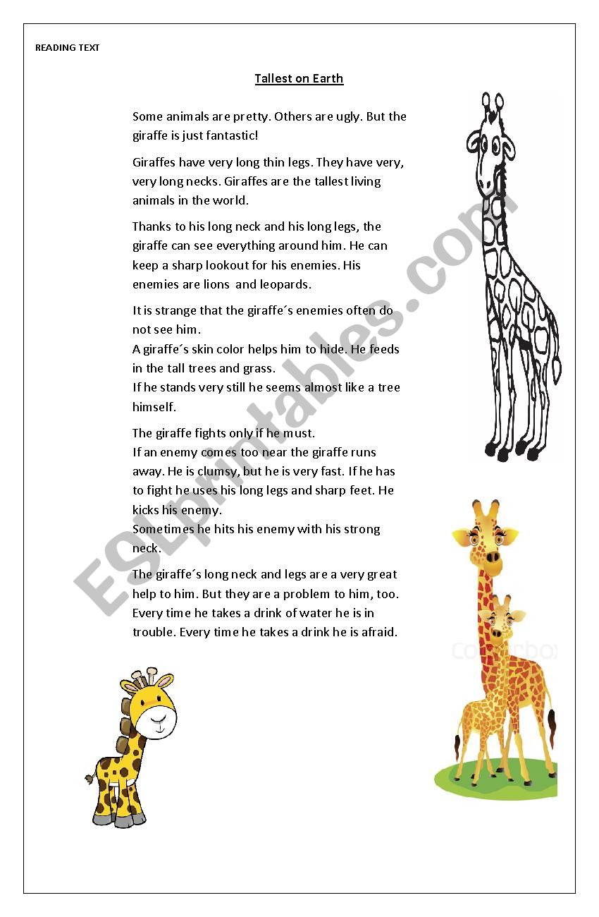 TALLEST ON EARTH worksheet