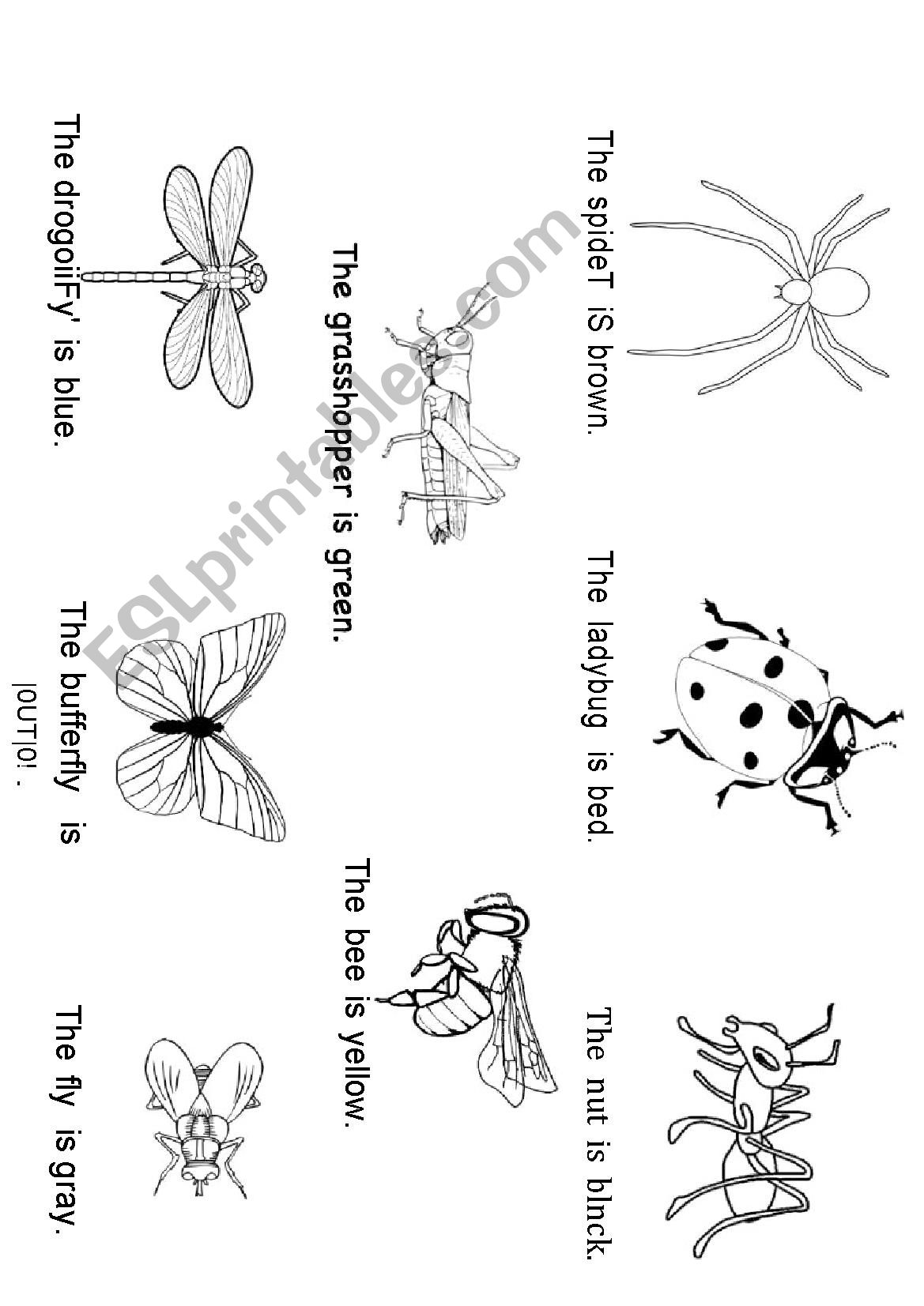 Bugs worksheet