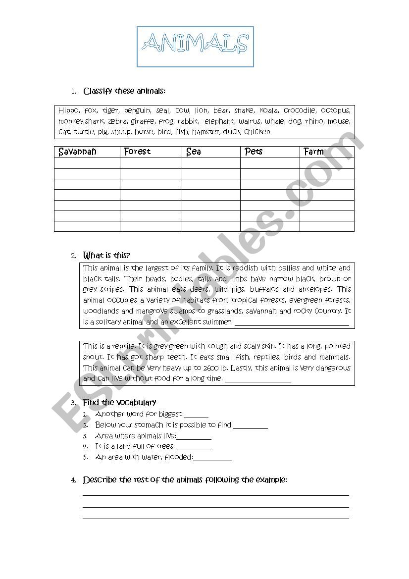 animal worksheet worksheet