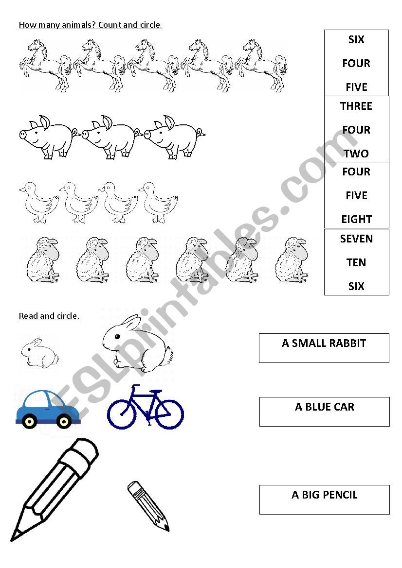 WORKSHEET FOR KIDERGARTEN! worksheet