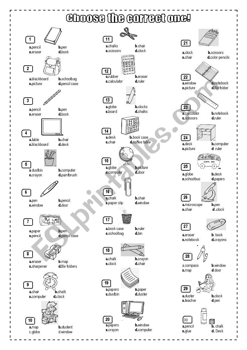 CHOOSE THE CORRECT ONE worksheet