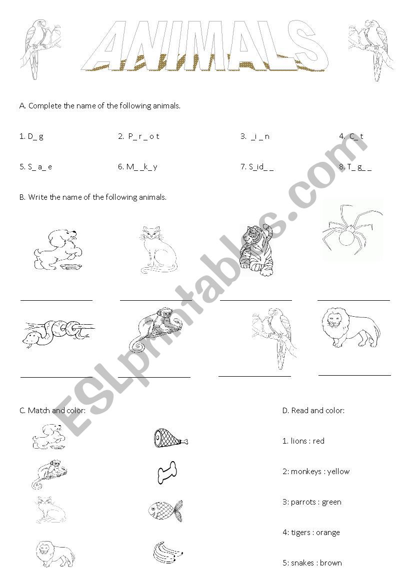 ANIMALS worksheet