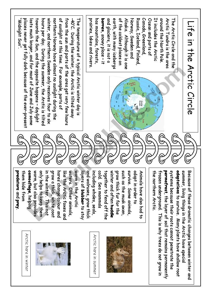 Life in the Arctic Circle worksheet