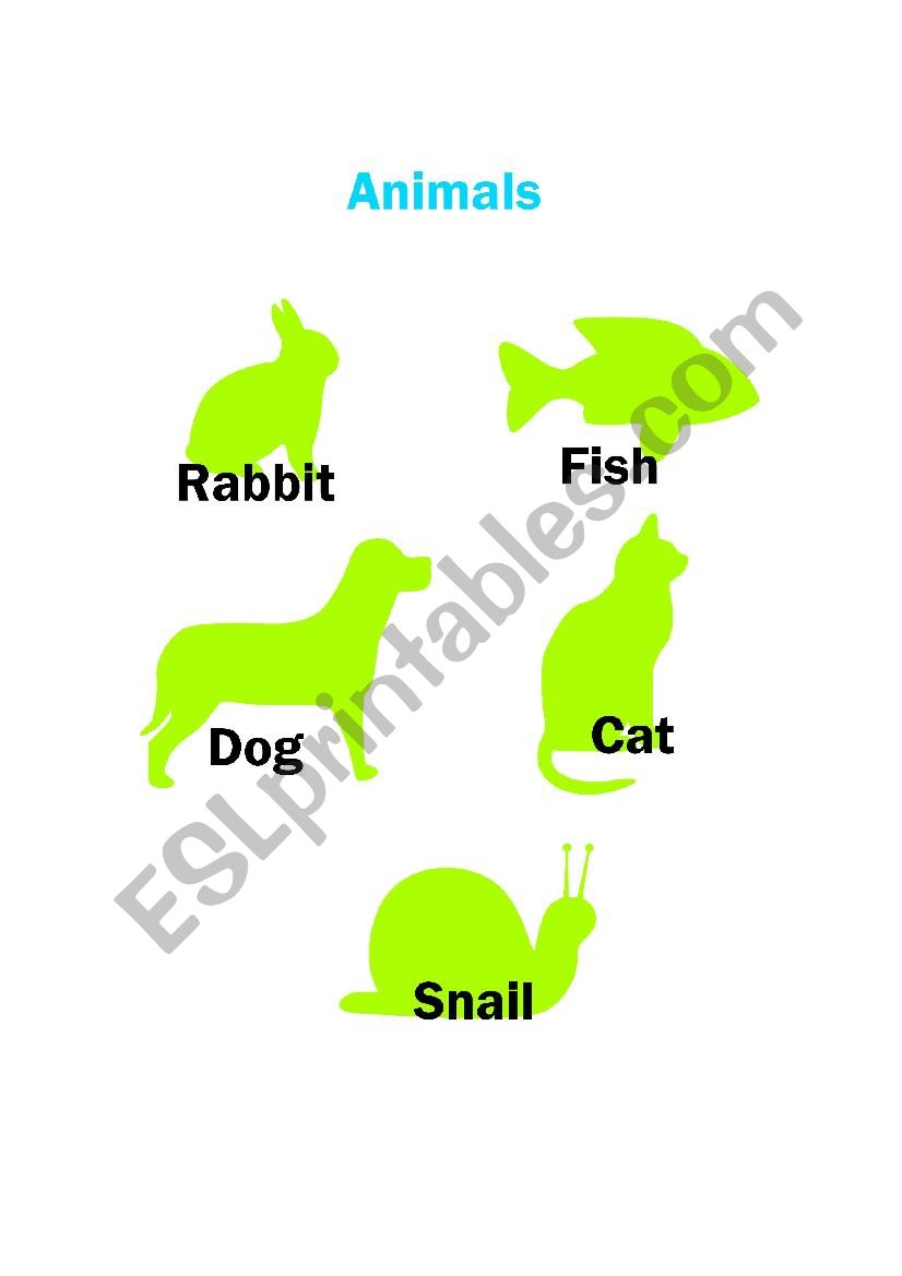 Animals worksheet