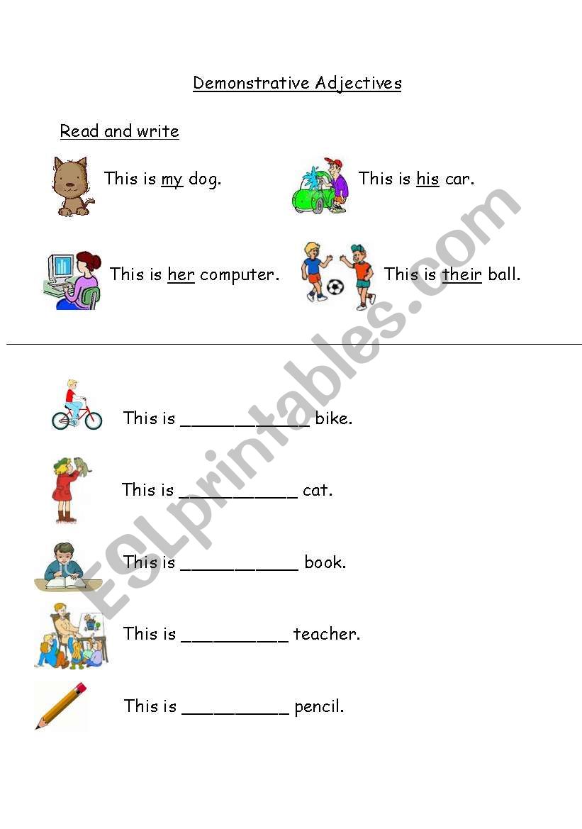 Demonstrative Adjectives worksheet