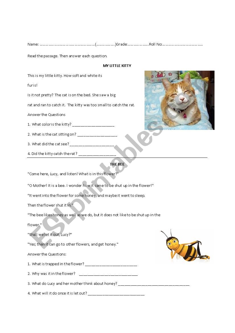 Reading Comprehension  worksheet