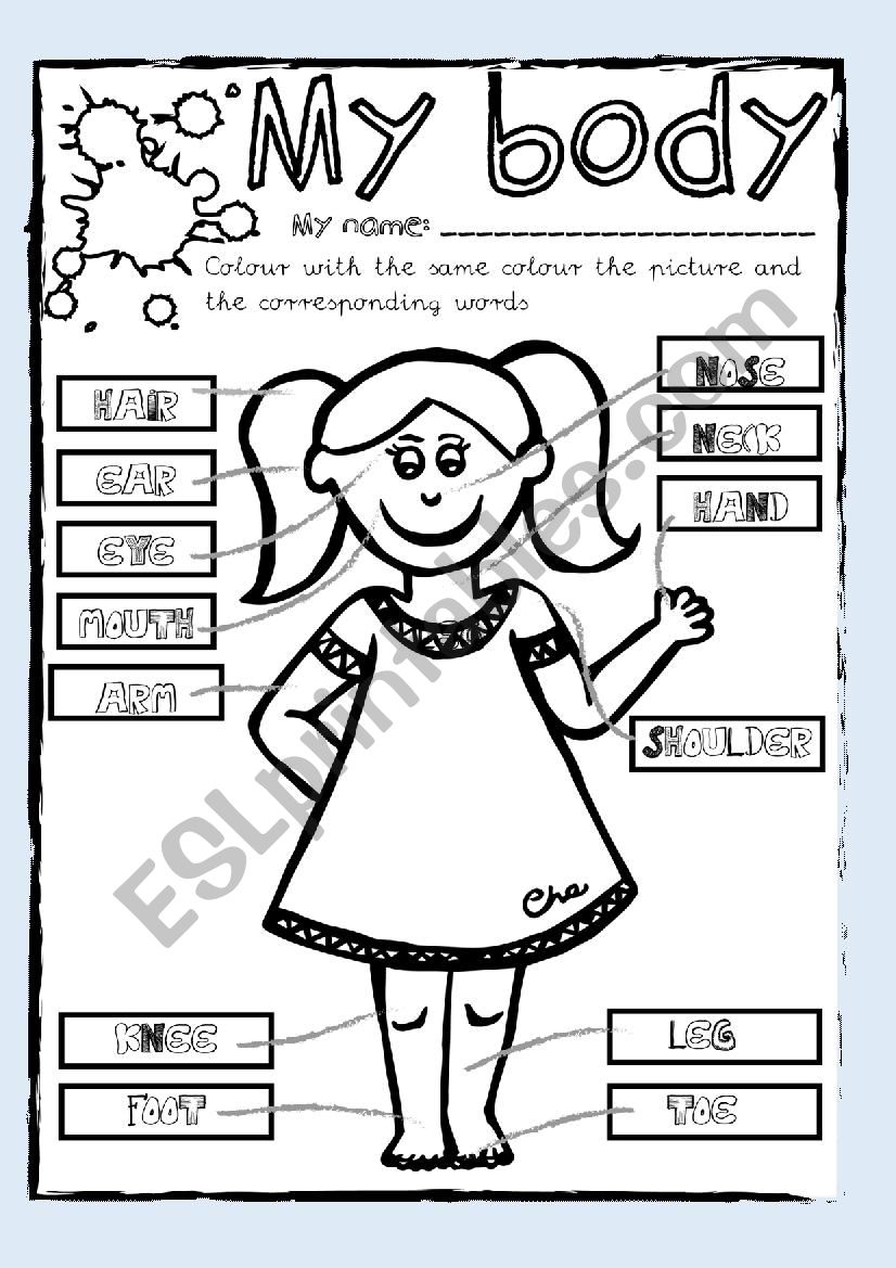 My Body (Pre-School) worksheet