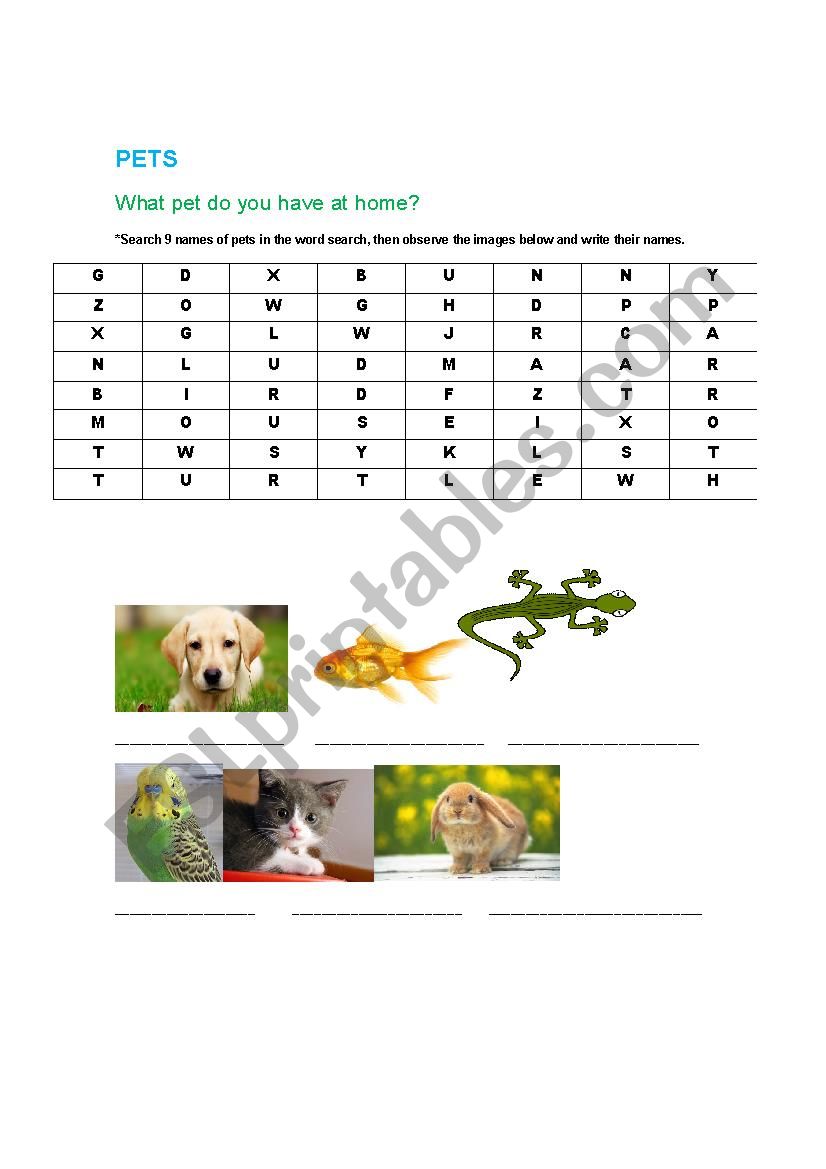 Pets Word search  worksheet