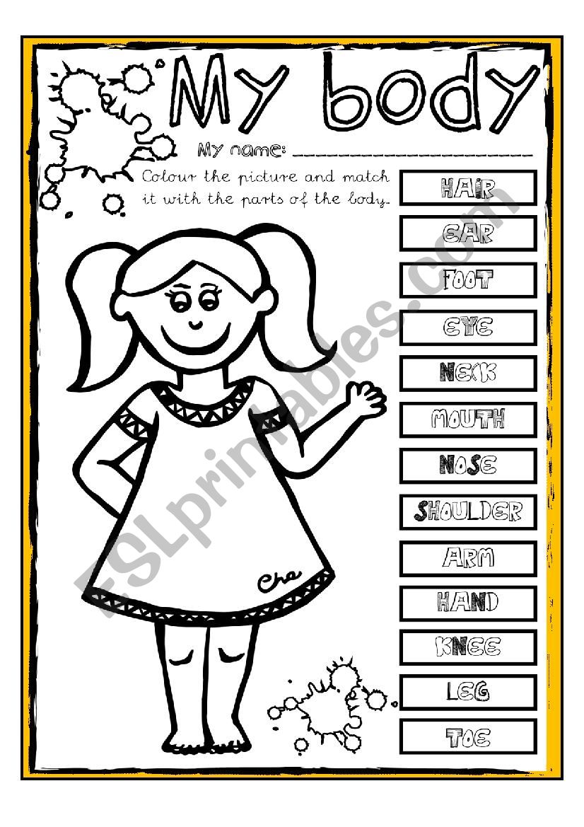 My Body (Elementary) worksheet