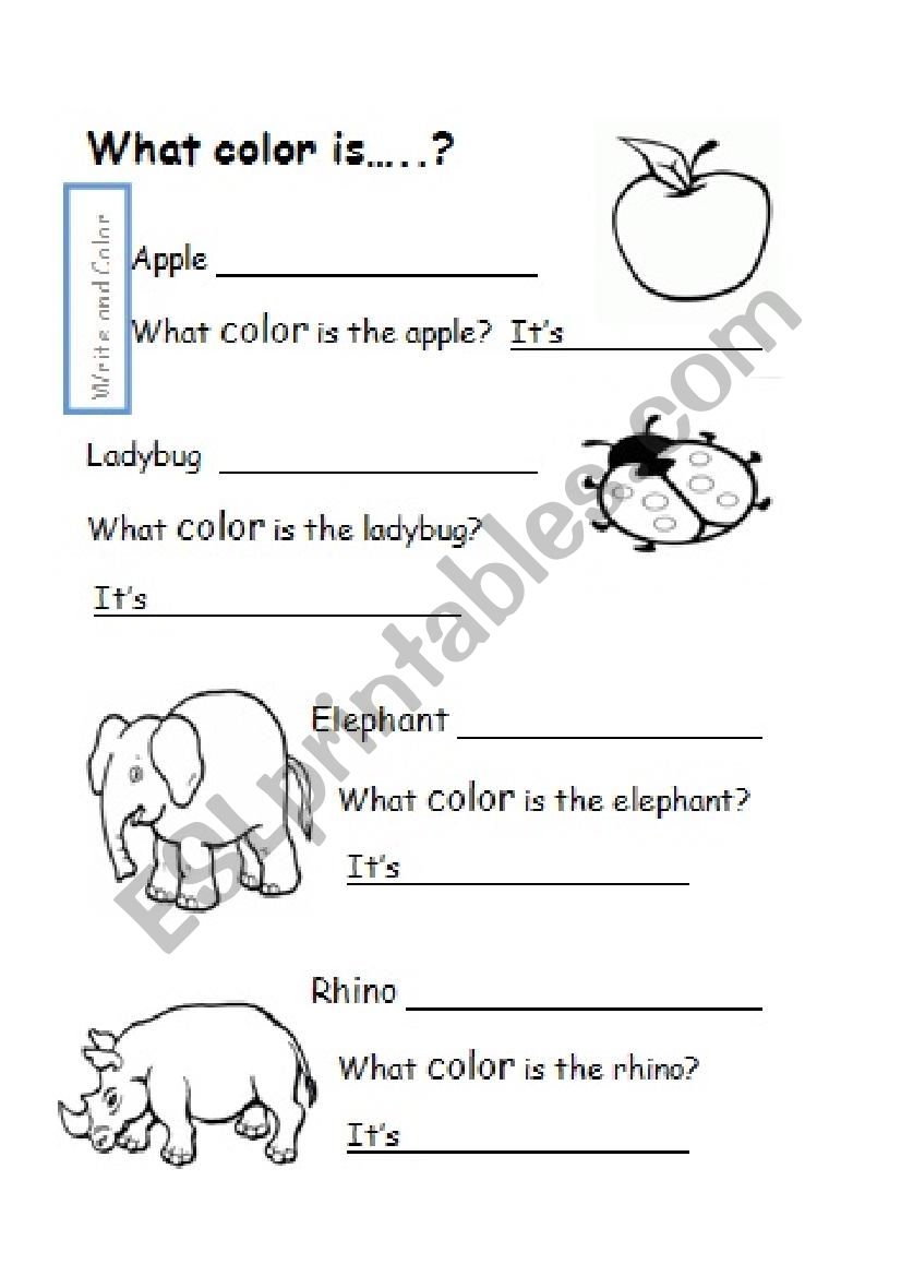 What color is? worksheet