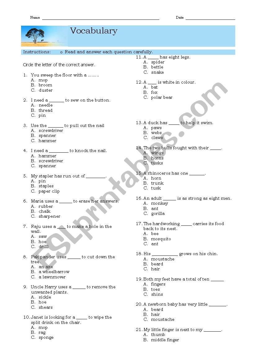 Vocabulary worksheet