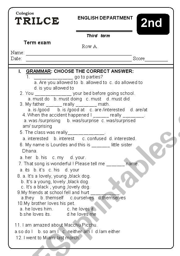 TERM EXAM worksheet