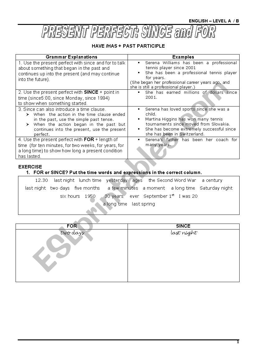 Present perfect worksheet