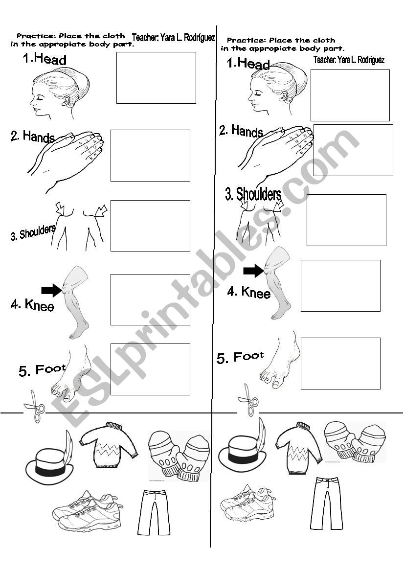 WORKSHOP ABOUT BODY PARTS  worksheet