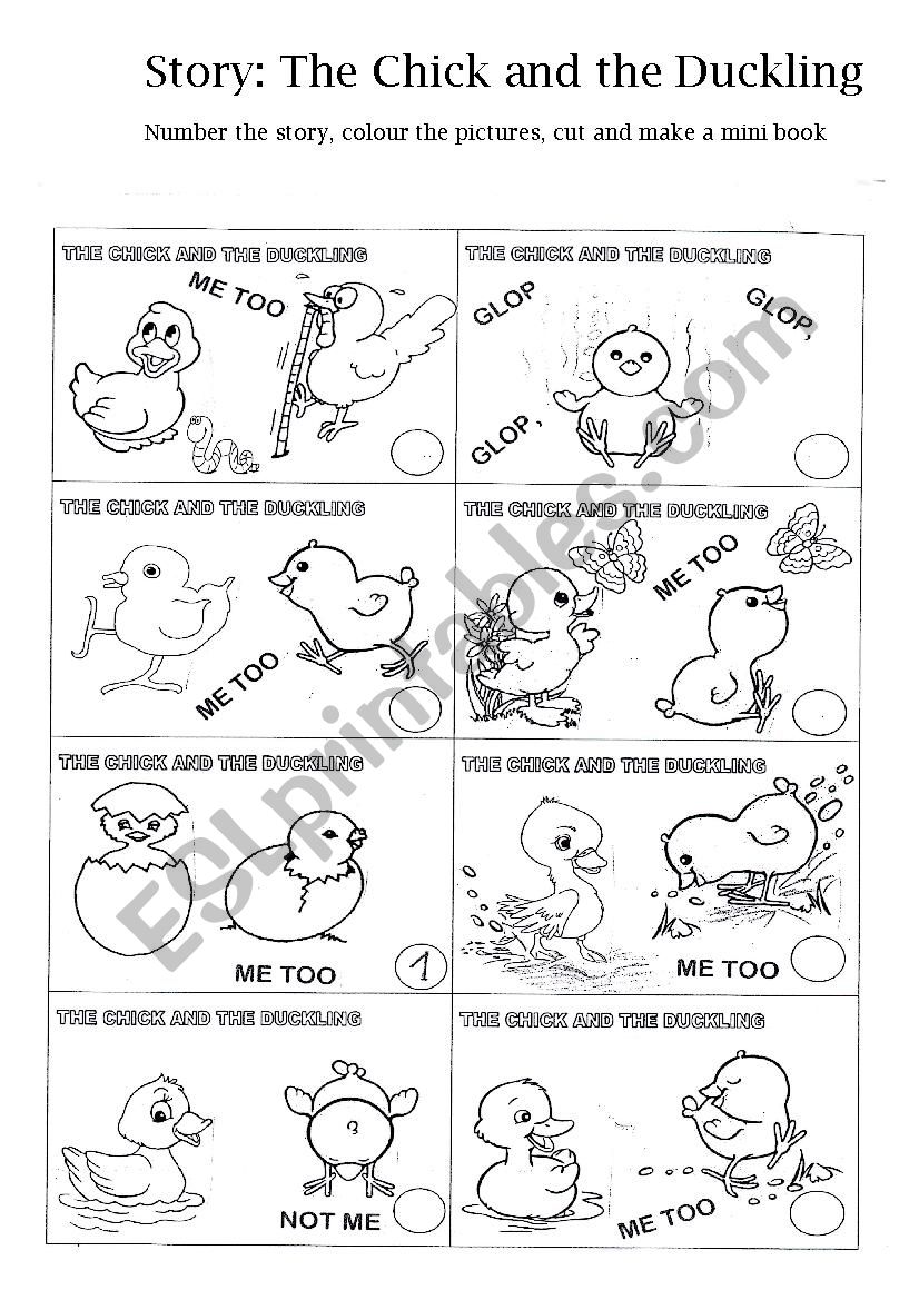 Story. The Chick and The Duckling worksheet