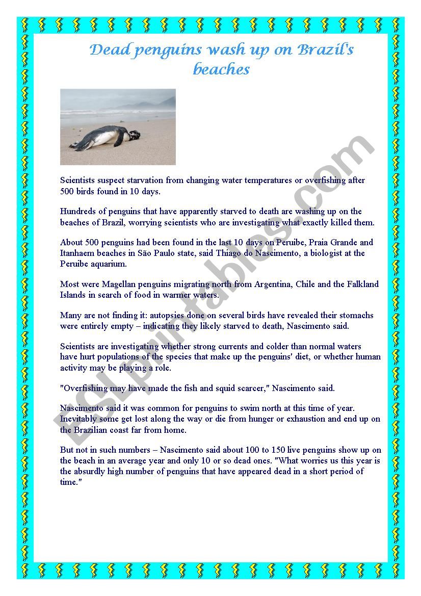 Dead penguins found in Brazil worksheet