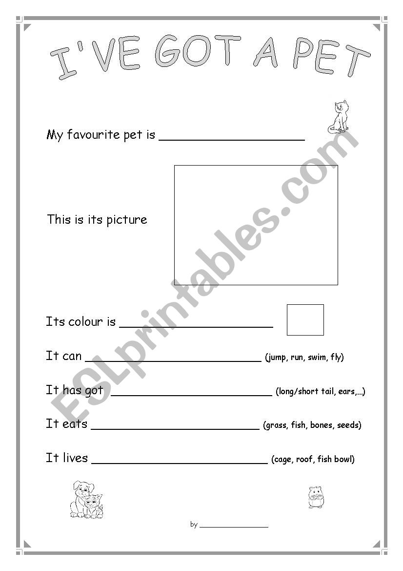 Ive got a pet worksheet