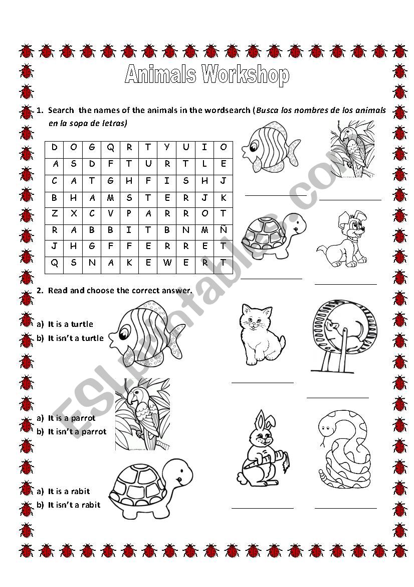 animals worksheet