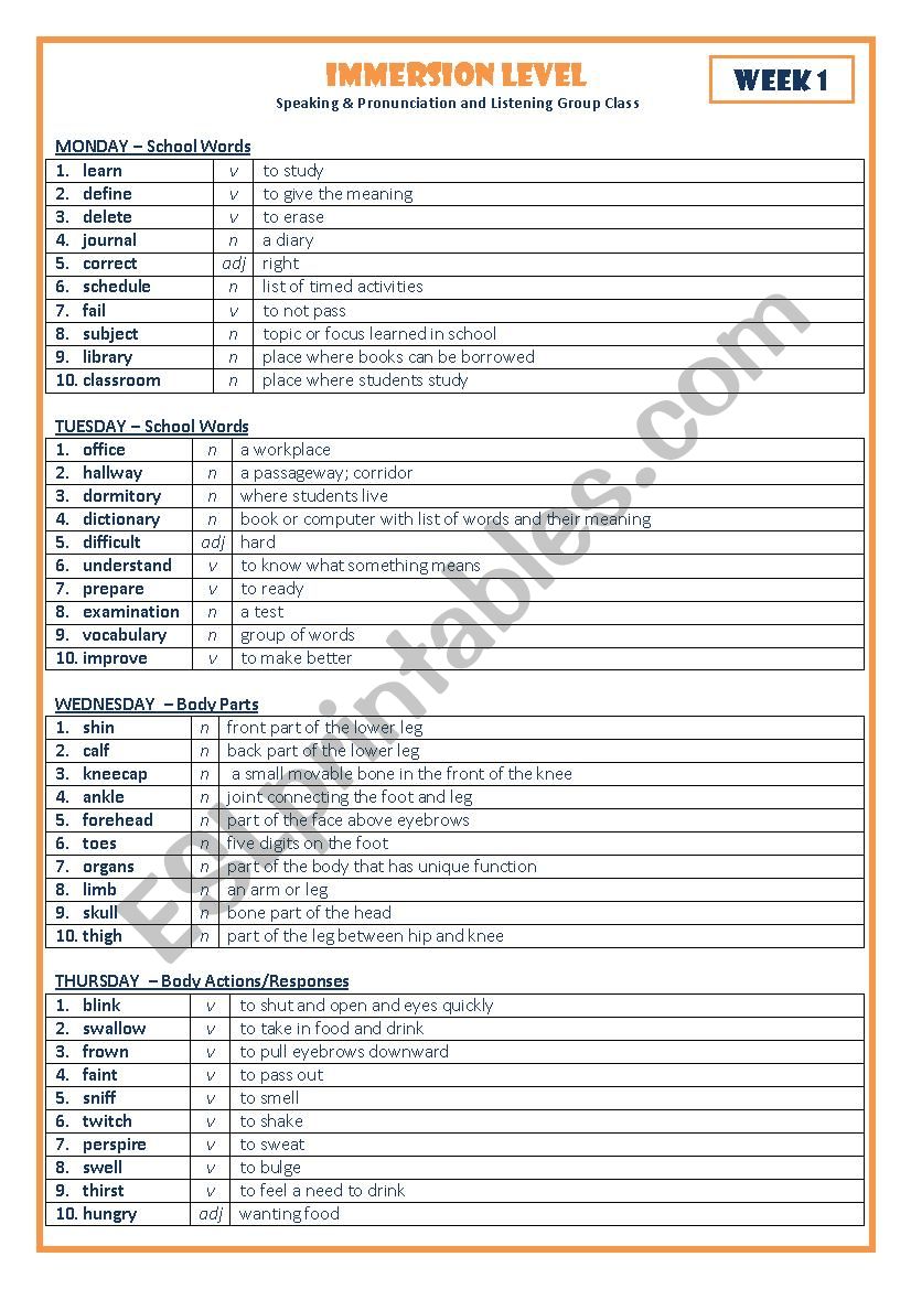 DAILY WORDS worksheet