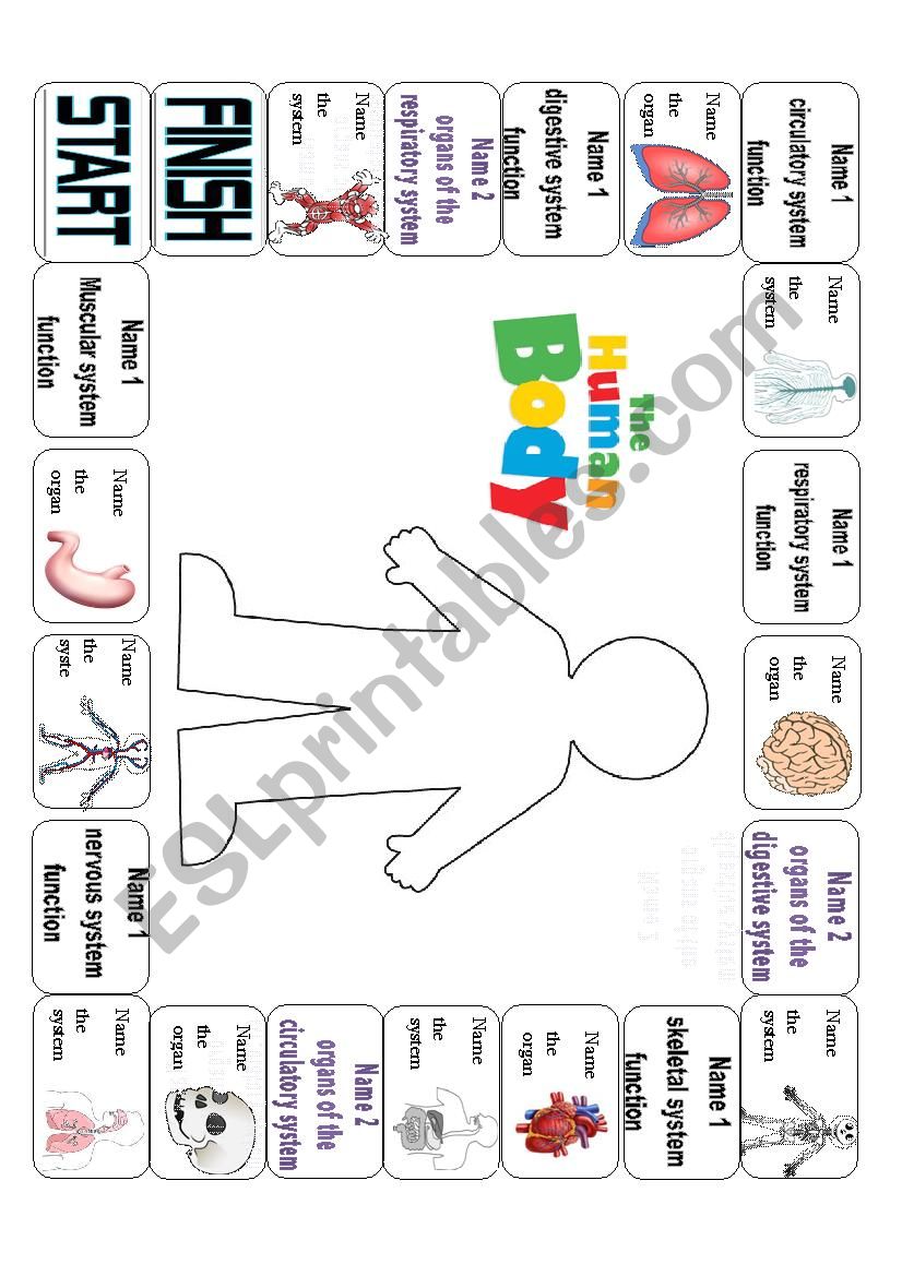 human-body-systems-game-esl-worksheet-by-evaramos