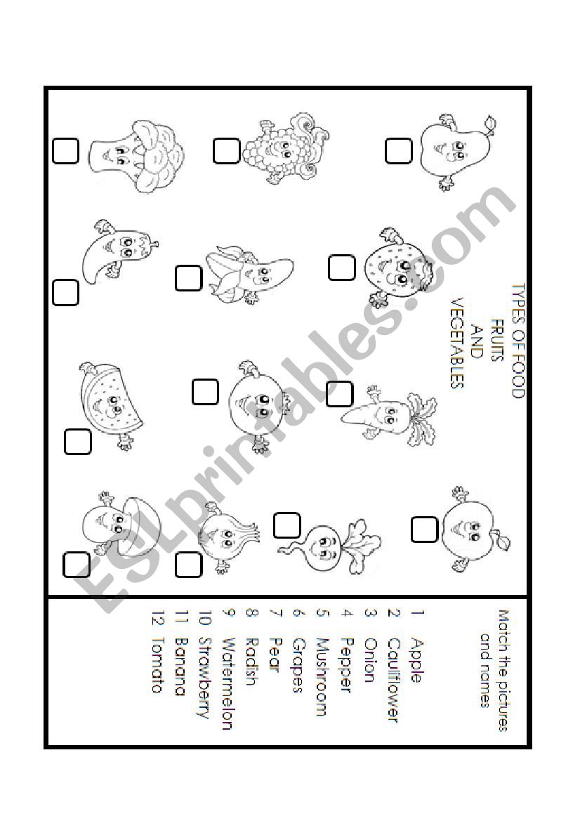 Kinds of food worksheet