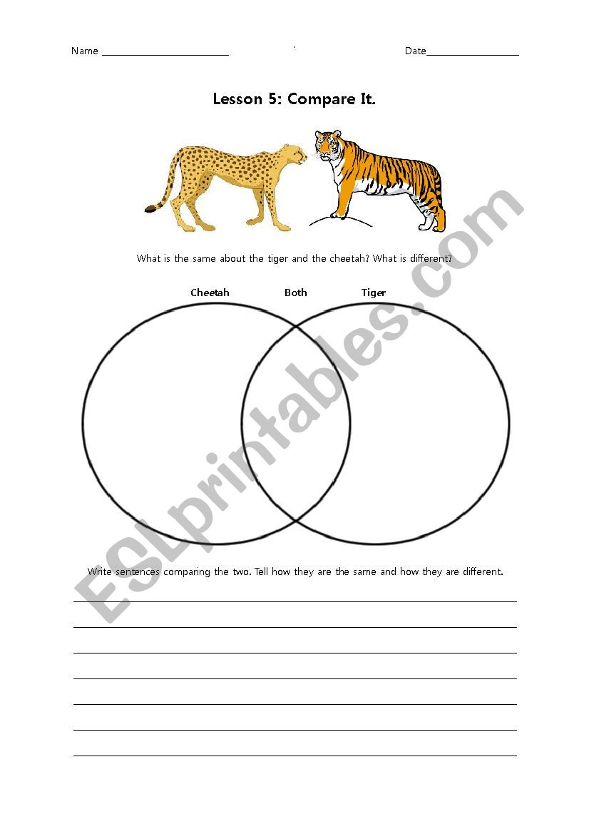Compare Them worksheet