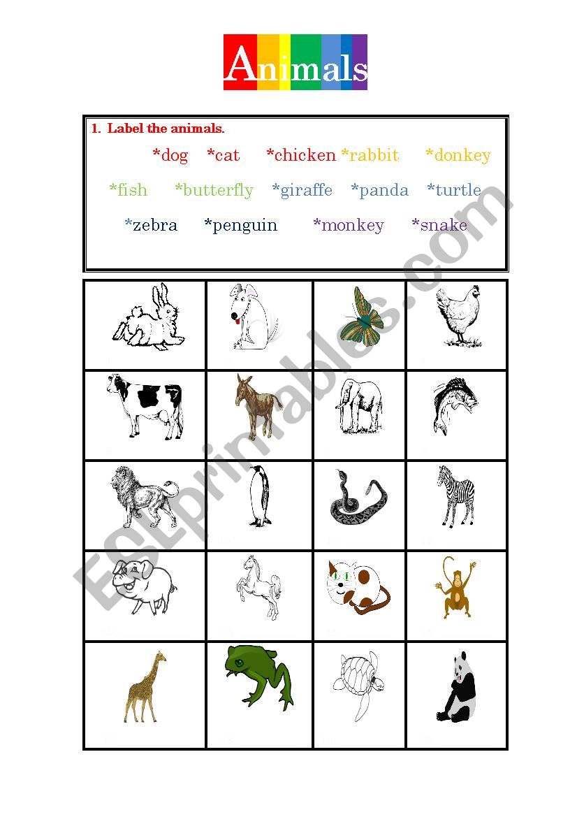 Animals- Identifying animals worksheet