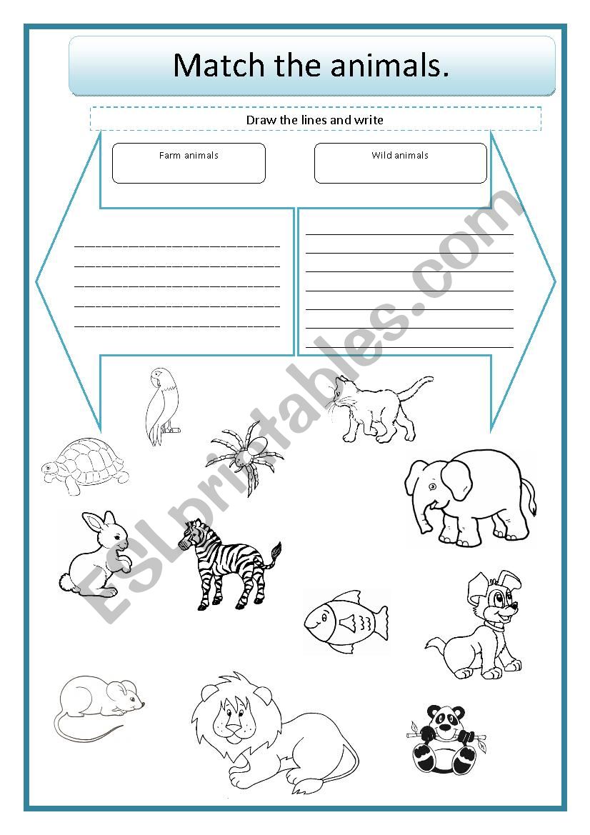 Farm Wild Animals worksheet