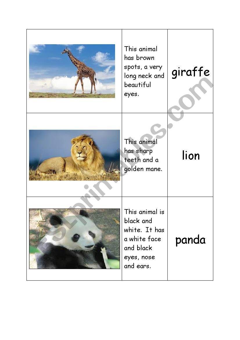 Animal Match worksheet