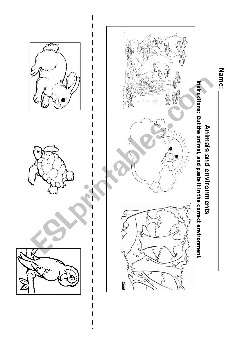 Habitats worksheet