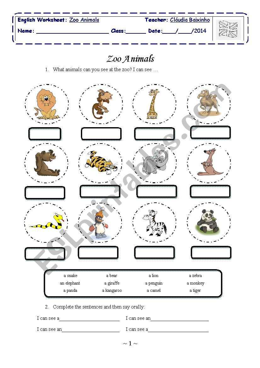 ZooAnimals worksheet