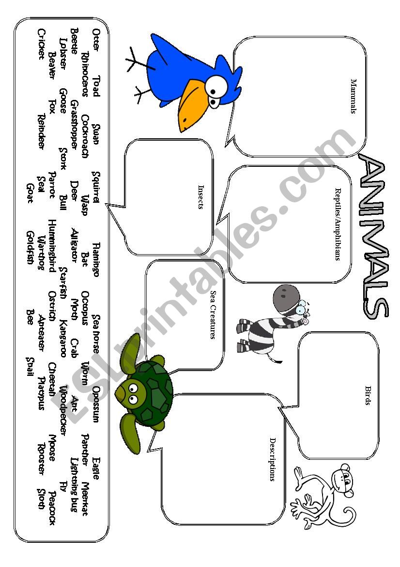 Animal Vocabulary worksheet