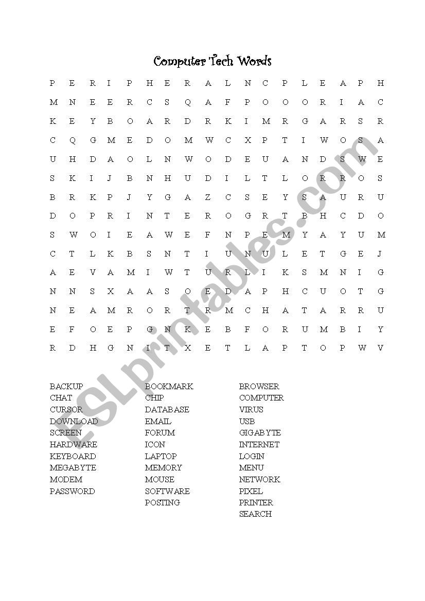 Computer Word Search worksheet
