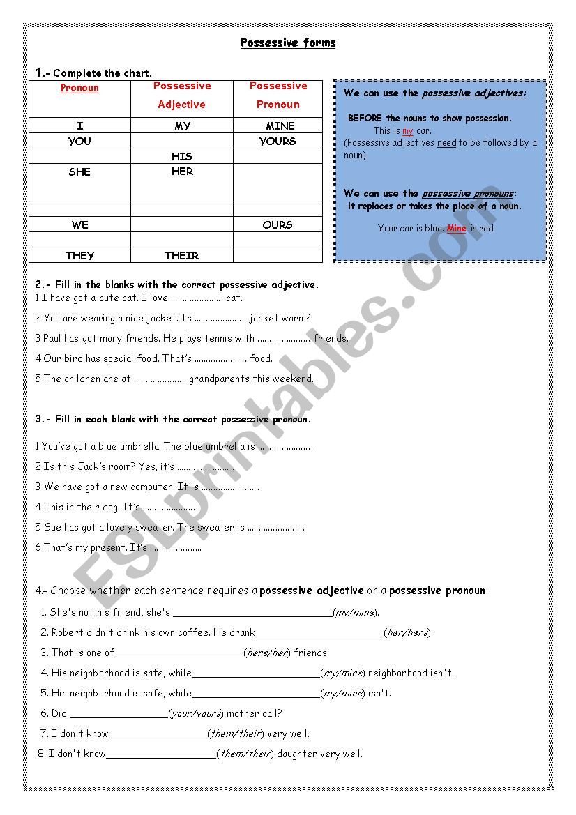 POSSESSIVE FORMS worksheet