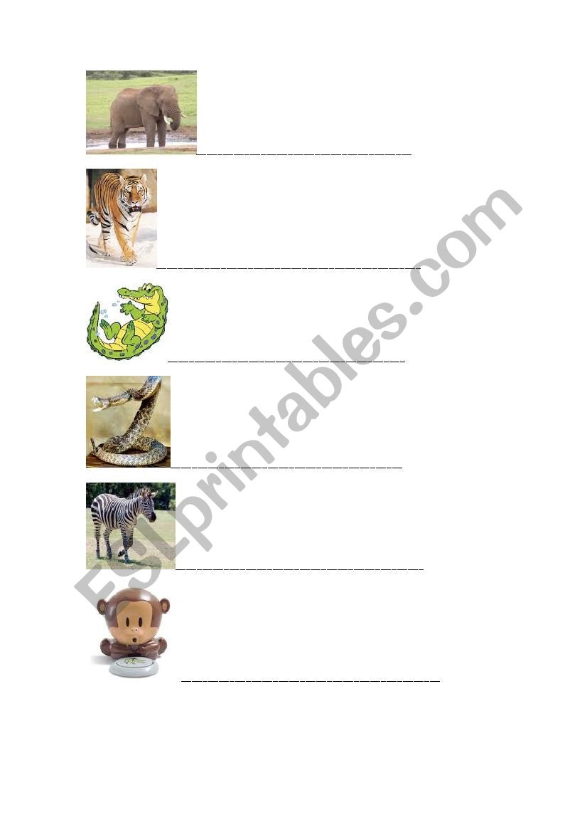 Animals worksheet