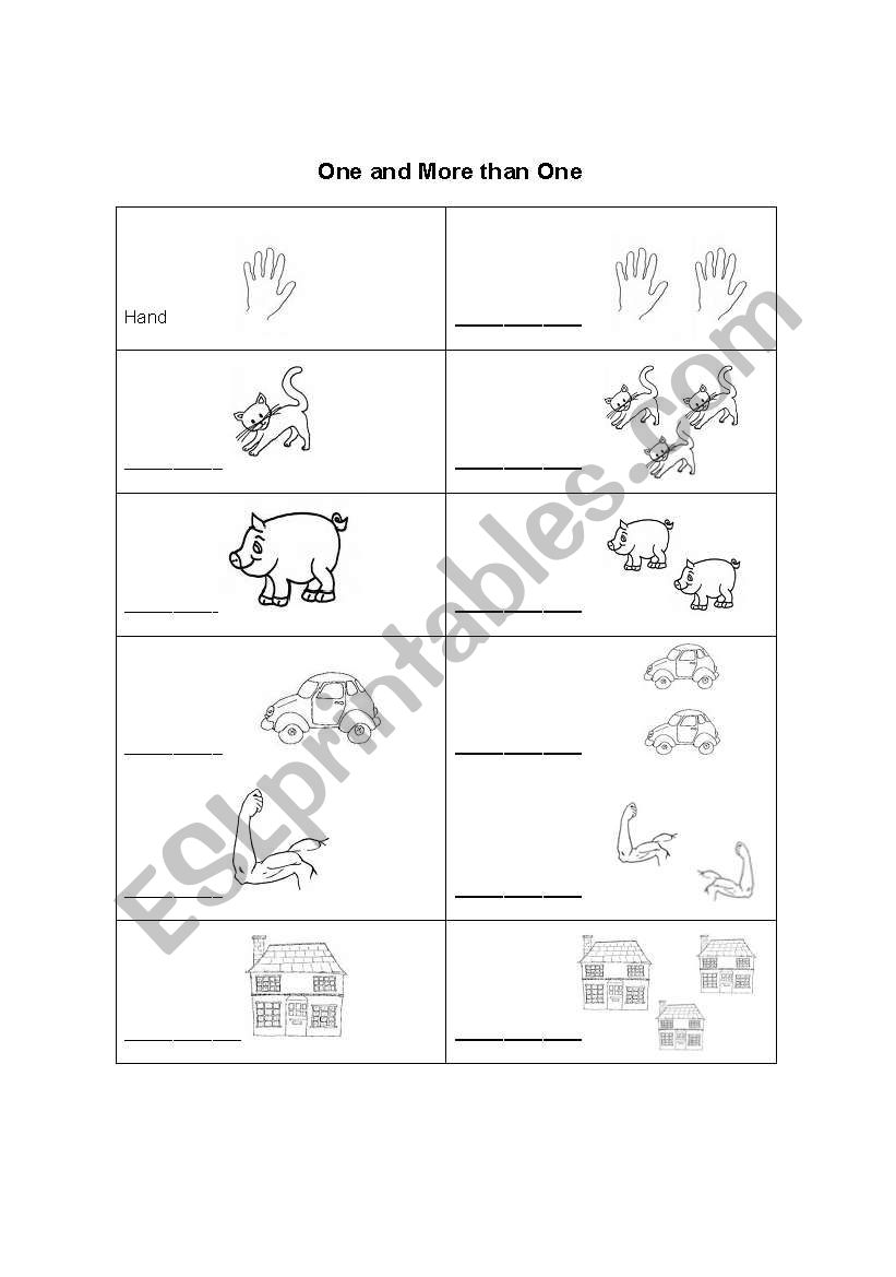 Plural nouns worksheet