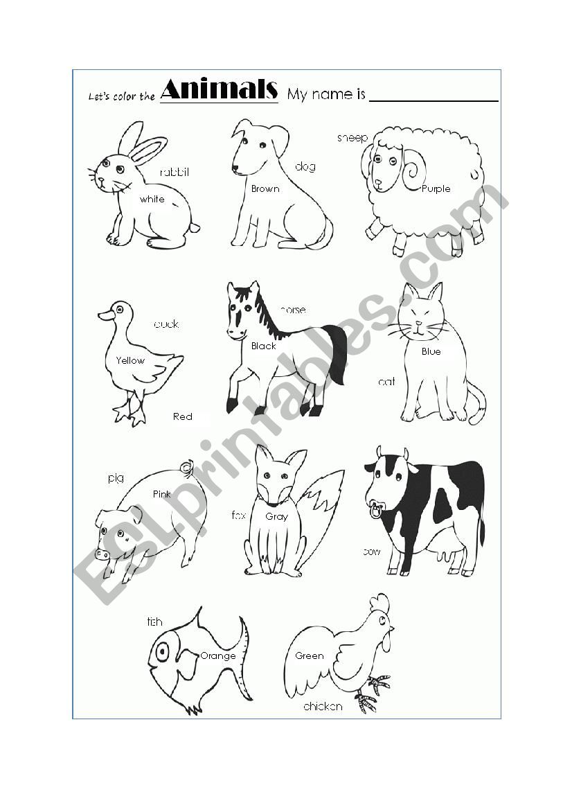 Animals worksheet