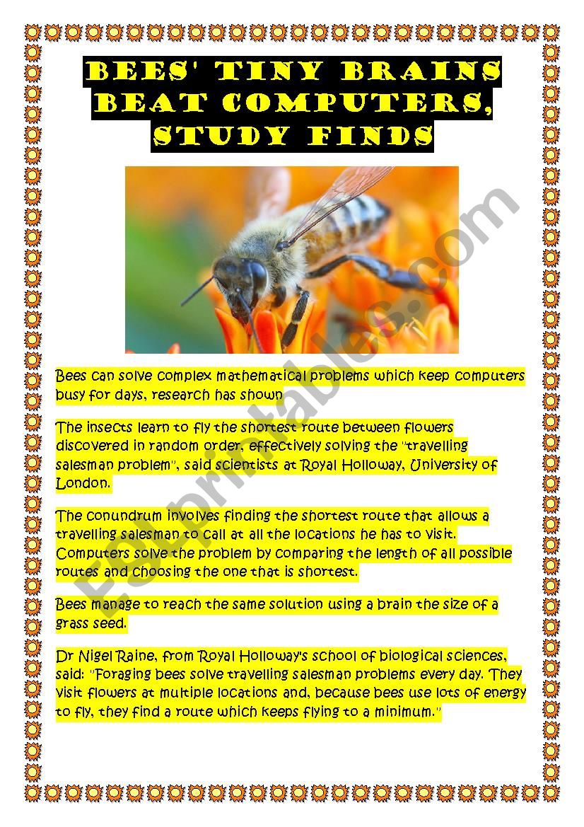 Bees brains worksheet