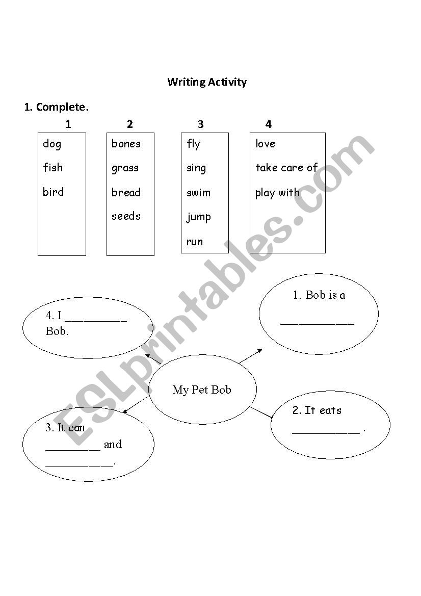 Writing Activity worksheet