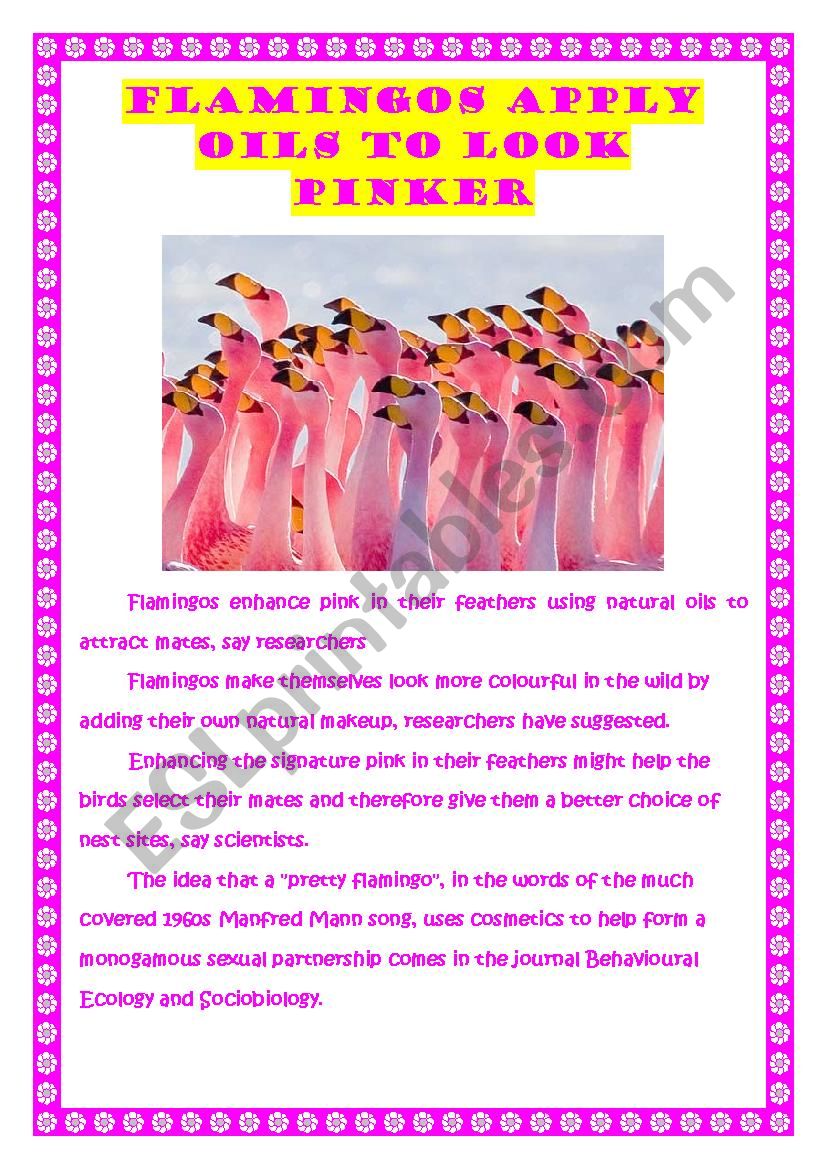 Flamingos colour worksheet