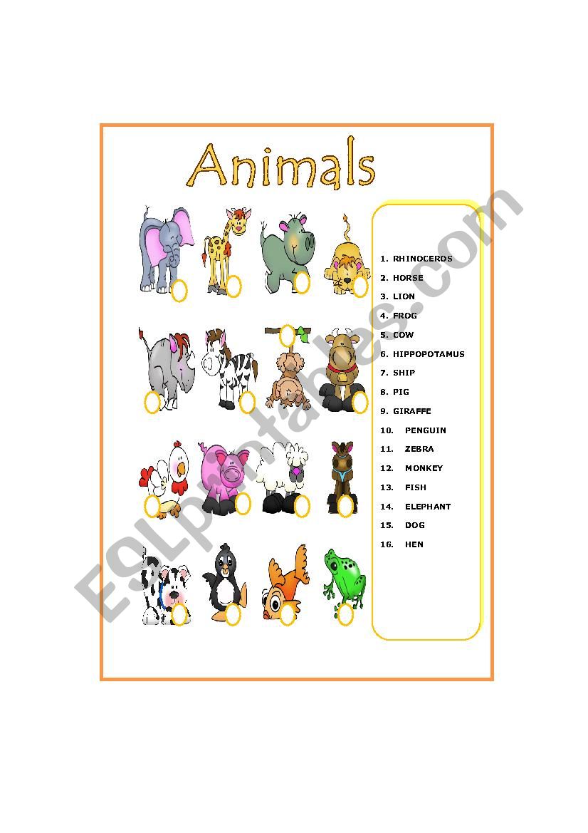 Animal worksheet