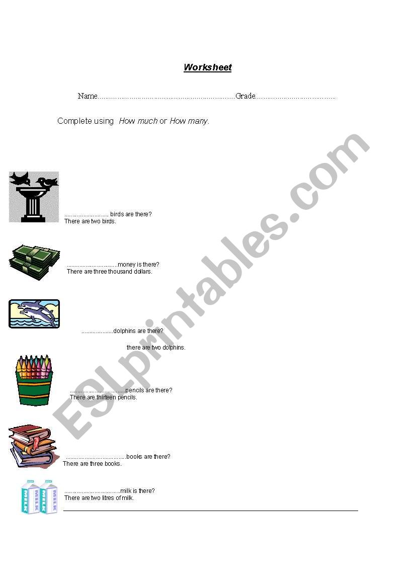 How much and How many worksheet