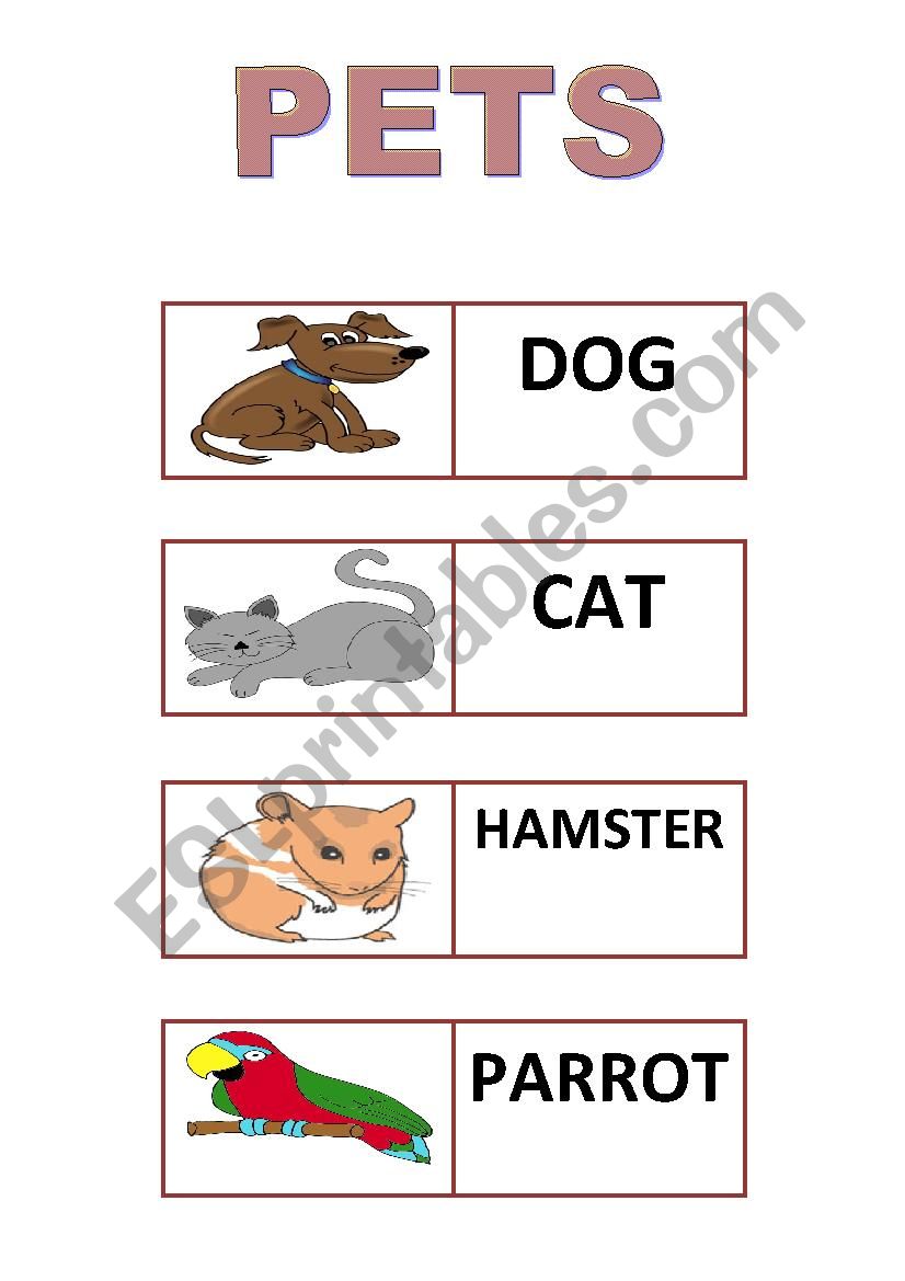 Pets worksheet