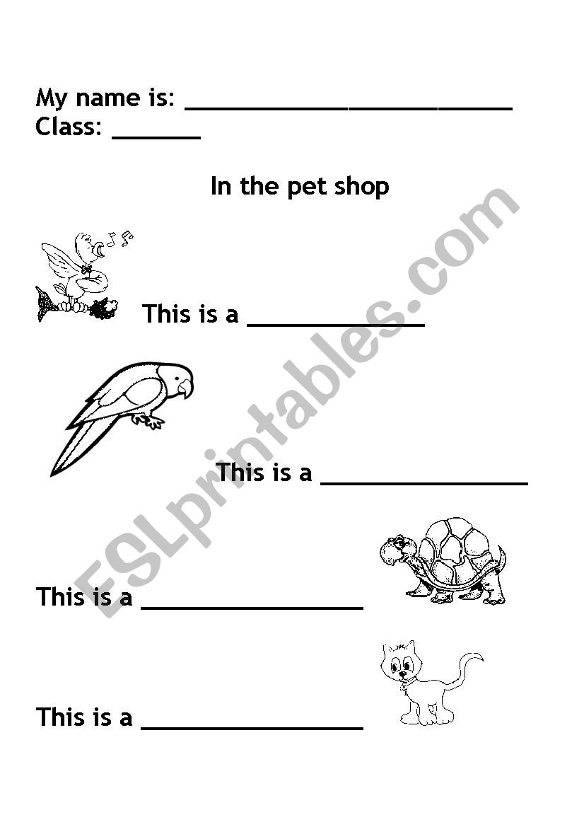 Domestic Animals worksheet