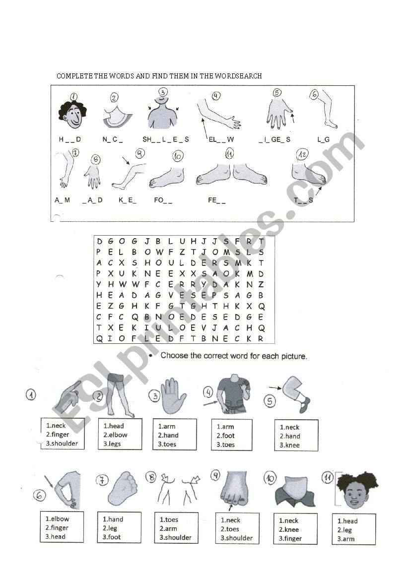 COMPLETE THE WORDS AND FIND THEM IN THE WORDSEARCH